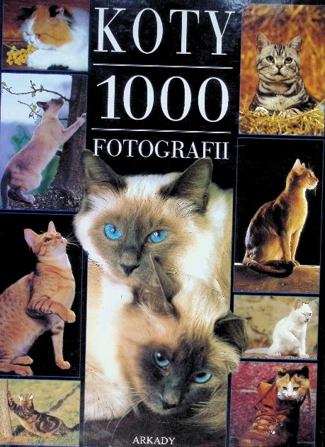 Koty 1000 fotografii