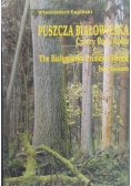 Puszcza Białowieska cztery pory roku
