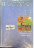 Pedagogika Tom 2 Podręcznik akademicki