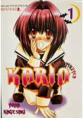 Wampirzyca Karin tom 1
