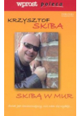 Skibą w mur