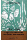 Rośliny Wodne w ogrodzie botanicznym uniwersytetu wrocławskiego