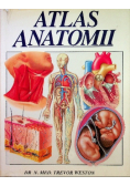 Atlas anatomii