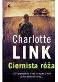 Ciernista róża