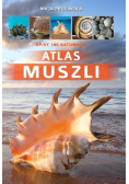 Atlas muszli