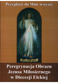 Peregrynacja Obrazu Jezusa Miłosiernego w Diecezji Ełckiej