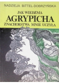 Jak wiedźma Agrypicha znachorstwa mnie uczyła