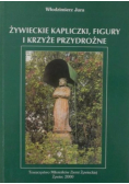 Żywieckie kapliczki figury i krzyże przydrożne