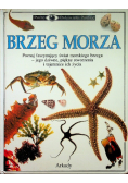 Brzeg morza