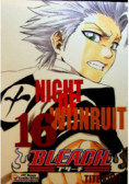 Bleach Tom 16 Night of Wijnruit