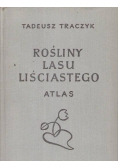 Rośliny lasu liściastego. Atlas