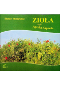 Zioła czyli Apteka Zapłocie