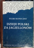 Dzieje Polski za Piastów Reprint