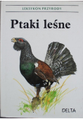 Ptaki leśne Leksykon przyrody