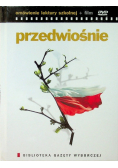 Przedwiośnie