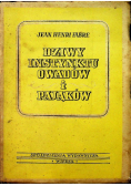 Dziwy instynktu owadów i pająków,1948 r.