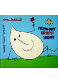 Przygody kropli wody