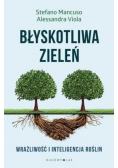 Błyskotliwa zieleń