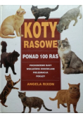 Koty rasowe