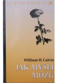 Jak myśli mózg