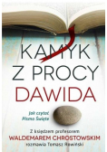 Kamyk z procy Dawida. Jak czytać Pismo Święte?