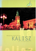 Kalisz przewodnik