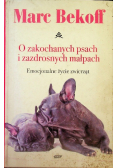 O zakochanych psach i zazdrosnych małpach