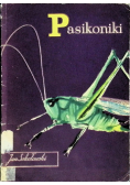 Pasikoniki