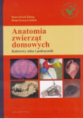 2006 anatomia zwierząt domowych