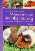 Mieszkamy ze świnką morską