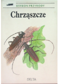 Leksykon przyrody Chrząszcze