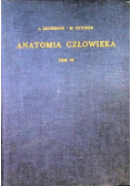 Anatomia człowieka Tom VI