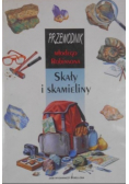Przewodnik młodego Robinsona Skały i skamieliny
