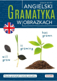 Angielski. Gramatyka w obrazkach Poziom A1 - B1