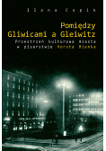 Pomiędzy Gliwicami a Gleiwitz