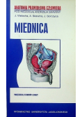 Anatomia prawidłowa człowieka Miednica Podręcznik dla studentów i lekarzy