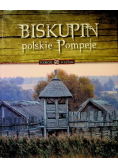 Biskupin polskie Pompeje