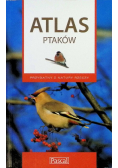 Atlas ptaków