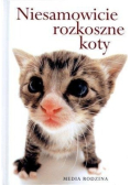 Niesamowicie rozkoszne koty