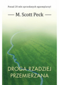 Droga rzadziej przemierzana