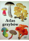 Atlas grzybów