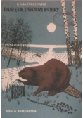 Pasłęka uwodzi bobry
