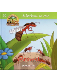 Mieszkam w lesie  Mrówki