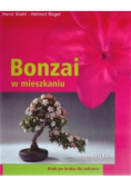 Bonzai w mieszkaniu