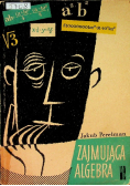 Zajmująca algebra