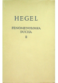 Fenomenologia ducha Tom  II