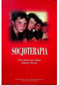 Socjoterapia