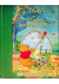 Kubuś Puchatek Bardzo wietrzny dzień