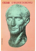 O wojnie domowej