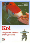 Koi bajecznie barwne ryby ogrodowe